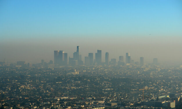 Disaster plans: Cities persist with pointless climate ‘action’